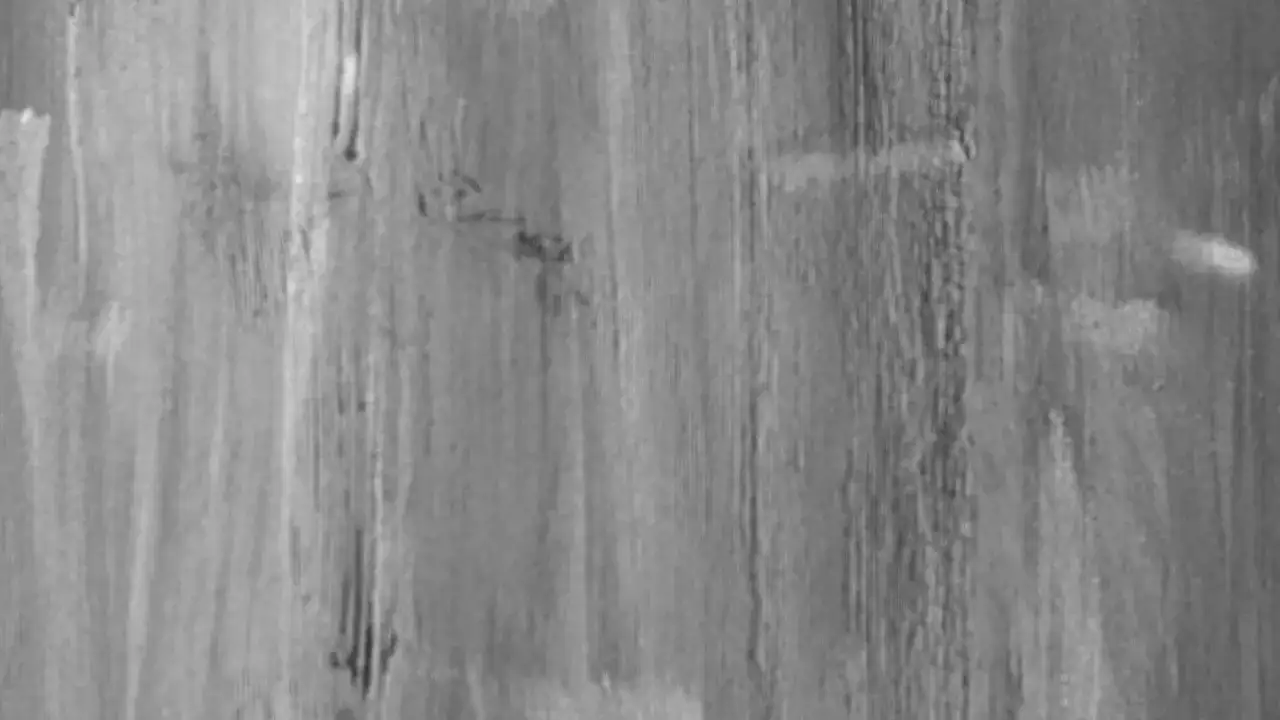 Textura de madera con vetas verticales, como si fuera una **pintura a la cal** aplicada sobre tablones.