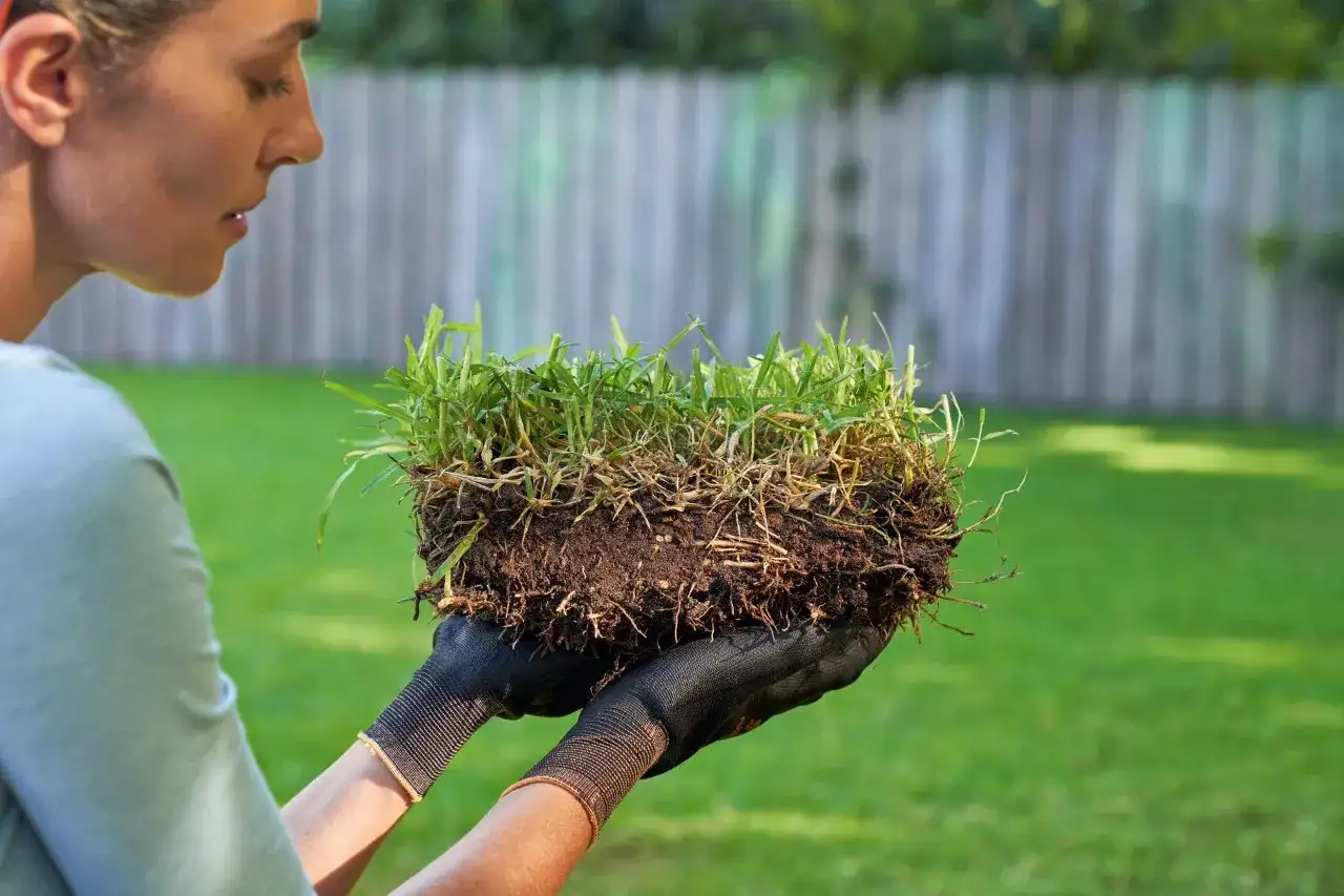 Mujer con guantes negros sostiene un trozo de césped con raíces y tierra arcillosa.