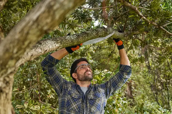 Hombre con gafas y guantes naranjas realiza la poda de árboles, cortando una rama gruesa con una sierra.
